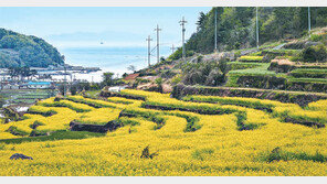 [니하오]온몸으로 즐기는 새로운 여행, 대한민국 농촌관광지 20선