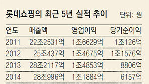 롯데쇼핑 2015년 3461억 순손실