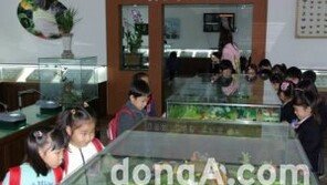 곤충산업 시장 급성장 ‘↑’, 2020년 약 5500억 규모…식용도 인기? ‘어떤 곤충인가 보니’