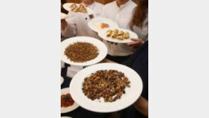 곤충산업 시장 급성장, 소고기 대신 메뚜기 식단? 영양UP↑, 맛은 어떨까?
