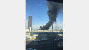 [속보] 노량진 수산시장에 불…긴급 진화, 인명피해는? 