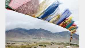 ‘일상의 관조’, 남준 사진작가 전시회