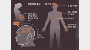 브라질 가톨릭계, 소두증 낙태 허용 주장에 “생명 철저하게 경시하는 행위” 비판