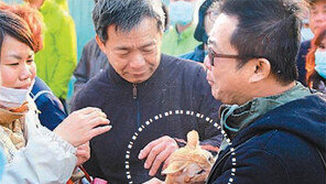 주인곁 지킨 고양이 울음에 7세 어린이 구조 