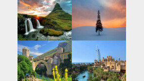 나홀로 여행족 늘었다