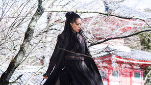 무협 생략한 무협영화… 그 여백은 절경의 山水로 채워