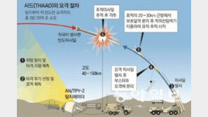 김무성 “사드, 300㎞ 높이서 요격…전자파는 처음 듣는 이야기”