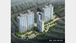 부산 아파트 분양 열기보니… 새집 안 살 수 없네