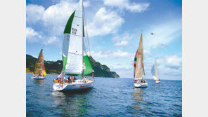 보령시 ‘스포츠 허브 도시’ 꿈꾼다