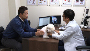 [주목! 채널A] 현주엽의 해피, 반려동물 등록