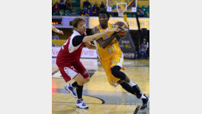 하워드 26점 원맨쇼…KB, PO행 불씨 살렸다