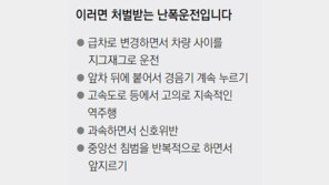 난폭운전 12일부터 징역-벌금형