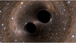 아인슈타인이 예측했던 ‘중력파’ 101년 만에 존재 확인 “우리가 해냈습니다!”