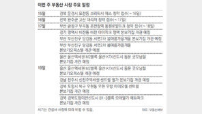 [부동산 캘린더]‘비전 아이파크 평택’ 등 본보기집 8곳 개관