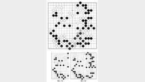 [바둑]제59기 국수전… 호사다마