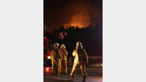 인도, 메이크 인 인디아 행사장서 화재… 공연단·관객 모두 대피