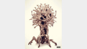 ‘사진작가가 된 발레리노’ 박귀섭, 그가 발레단 그만둔 이유는…