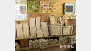 “시골 탈출 꿈꾸다 ‘편백나무 노다지’ 캐… 농촌은 창업 요람”