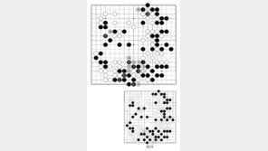 [바둑]제59기 국수전… 불각(不覺)의 수