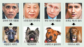 “오바마는 네덜란드 셰퍼드… 시진핑은 케언테리어”
