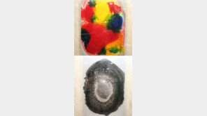 길현 작가 “요소 한방울로 피운 눈꽃… 화학이 예술이죠”