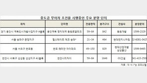 “중도금 무이자는 기본” 금융부담 덜기 경쟁 치열