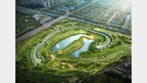 단독주택 매매 역대 최다…전년비 25%↑