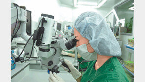 대구 ‘메디밸리’ 의료산업 중심으로 ‘한걸음 더’