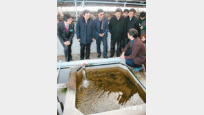 부경대서 세계수산대학 입지 현장심사