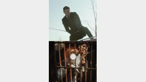 ‘리멤버’·‘시그널’ 잘 나가는 장르 드라마의 비밀