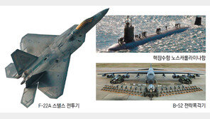 美 F-22 스텔스기 한국에… 무력시위 ‘3종 세트’ 배치