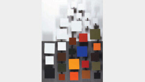 [피카소에서 프란시스 베이컨까지]컬러와 화이트 (헤수스 라파엘 소토·1992년)