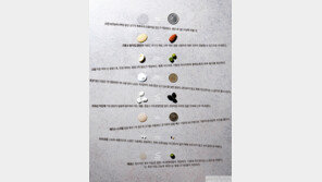 화장품 정량만큼 바르고 있나요?