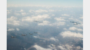 [사진] F-22 포함 한미 공군 연합비행 