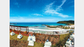 [화제의 분양현장]관광천국 제주, 수익형 호텔에서 ‘월급+힐링’을 얻는다 