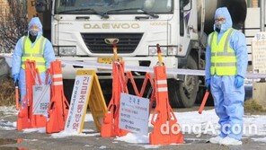 구제역 의심신고, 확진 판정시 돼지 3000마리 도살 처분