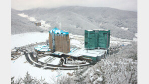 하이원리조트 ‘세계명상대전’ 준비 분주