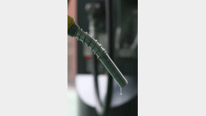 이란 산유량 동결 지지, WTI 30.66달러·북해산 브랜트유 34.30달러…국제 유가 급등