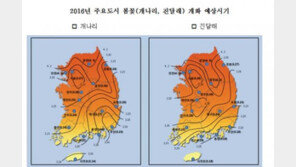봄꽃 개화 시기, 기온 높아 평년보다 1~2일 빠를 전망· 각 지역 봄꽃 절정시기는?