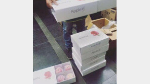 “대륙이 또 해냈다!”… 이런 사과 선물, 어떠세요?