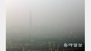 미세먼지 잡는 음식, 호흡기 속 미세먼지 내보내는 방법은?