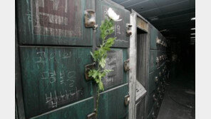 대구지하철 참사 13주기 추모행사…사고현장 보존 이유 알고 보니…