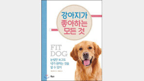 강아지가 좋아하는 모든 것