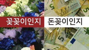 [카드뉴스] 고급반 수강료 400만 원? 꽃꽂이인지 돈꽂이인지