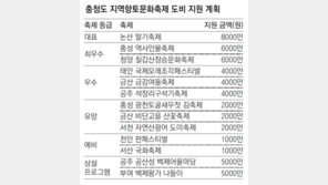충남도 “전문가 현장평가 후 축제 지원”