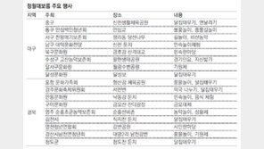 불꽃놀이-지신밟기 등 정월대보름 행사 풍성