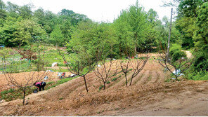 [화제의 분양현장]“그린벨트 해제 가능성 1순위” …하남 토지 분양