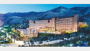 [화제의 분양현장]평창 ‘더화이트호텔’ 연 10% 이상 임대수익, 7년간 확정!