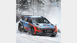 [단독]현대차 ‘N’, 獨서 아우디-벤츠와 겨룬다