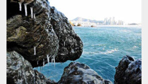 포근한 우수, 봄 기운 가득…미세먼지 주의